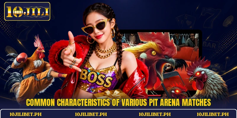 Common characteristics of various pit arena matches