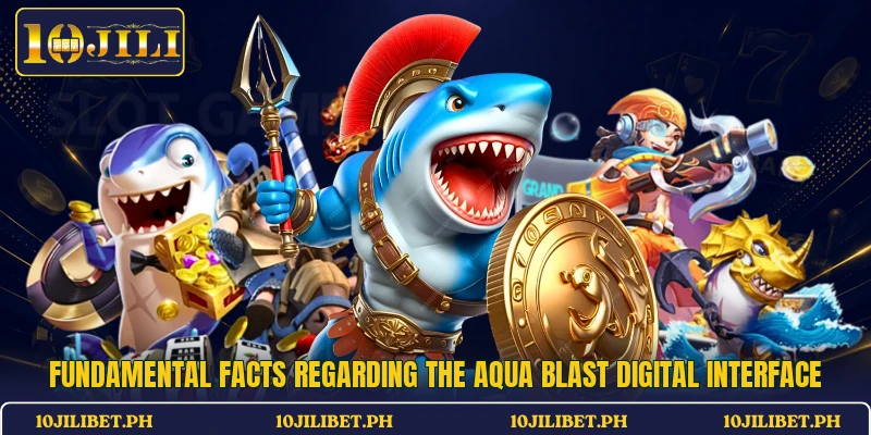 Fundamental facts regarding the Aqua Blast digital interface