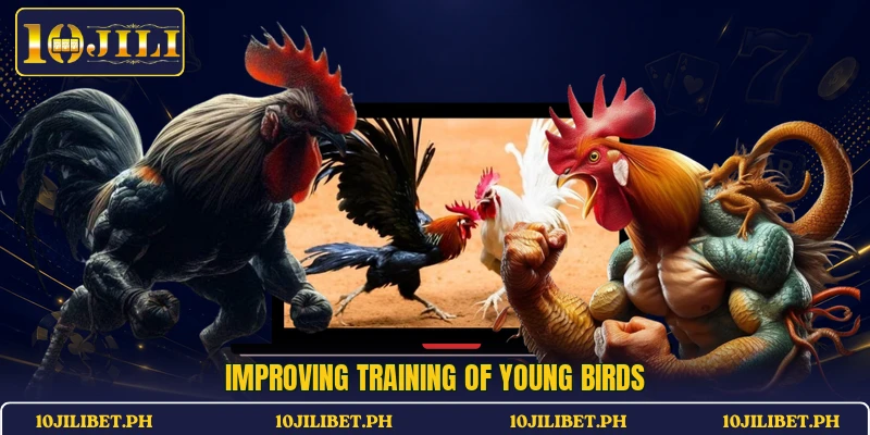 Improving training of young birds