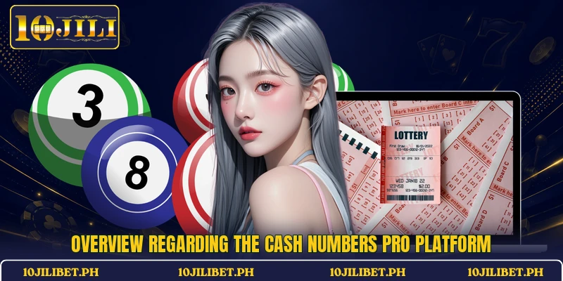 Overview regarding the Cash Numbers Pro platform
